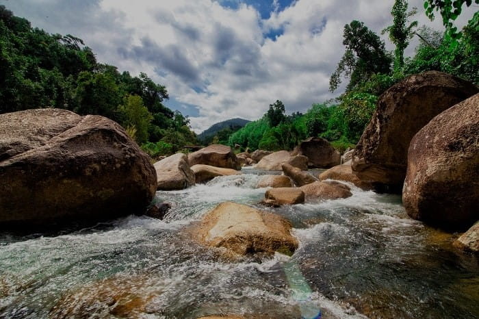 Suoi Tien Tourist Area